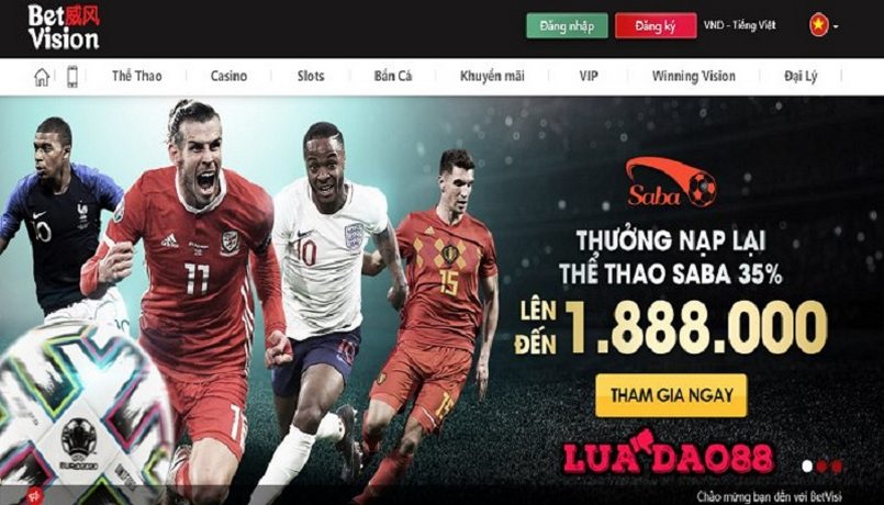Vui lòng liên hệ bộ phận hỗ trợ kỹ thuật của 7Ball - 7Ball