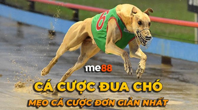 Những điều cần lưu ý khi gửi hoặc rút tiền tại Ngân hàng Kc88 - Kc88