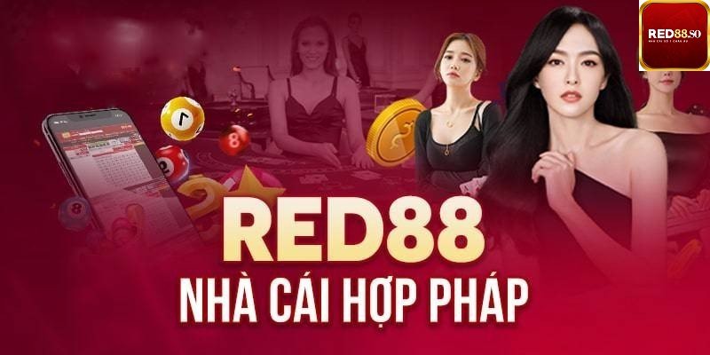 Việc thăng hạng lên 88T có phải là thật không? - 88T