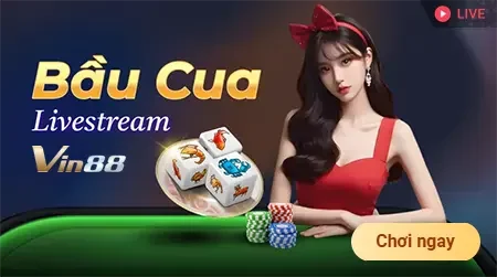 Tổng quan về Dịch vụ Cứu hộ Vn6 - Vn6
