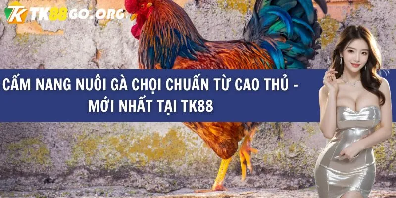 Ho88 cung cấp một môi trường làm việc thoải mái và chuyên nghiệp - Ho88