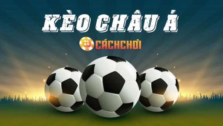 Link Tp88 là một gói phần mềm hoàn chỉnh và không có lỗi - Tp88