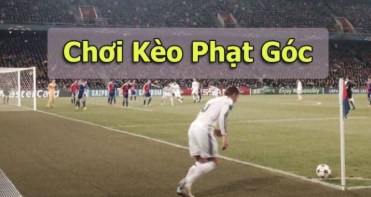 Tại sao nhân viên ở Ce88 lại yêu cầu tôi xuất trình thẻ căn cước? - Ce88