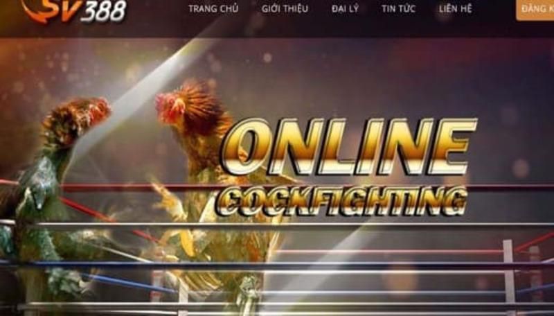 Tại sao tôi cần đăng nhập vào Kg88? - Kg88