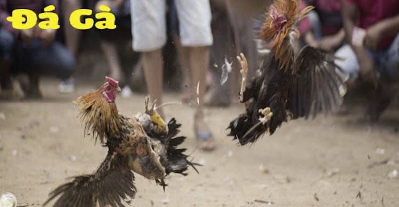 Máy quay 789Win – Bánh kem bóng đá trực tuyến 789Win - 789Win
