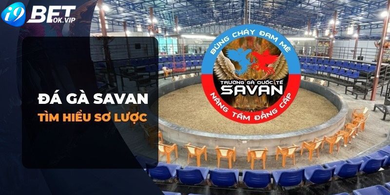 Tôi có thể tham gia một trang web chơi game trực tuyến cấp Mec68 bằng cách nào? - Mec68