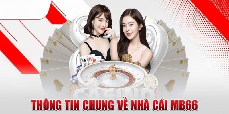 Tổng quan về các mẹo cá cược Jdb777 - Jdb777